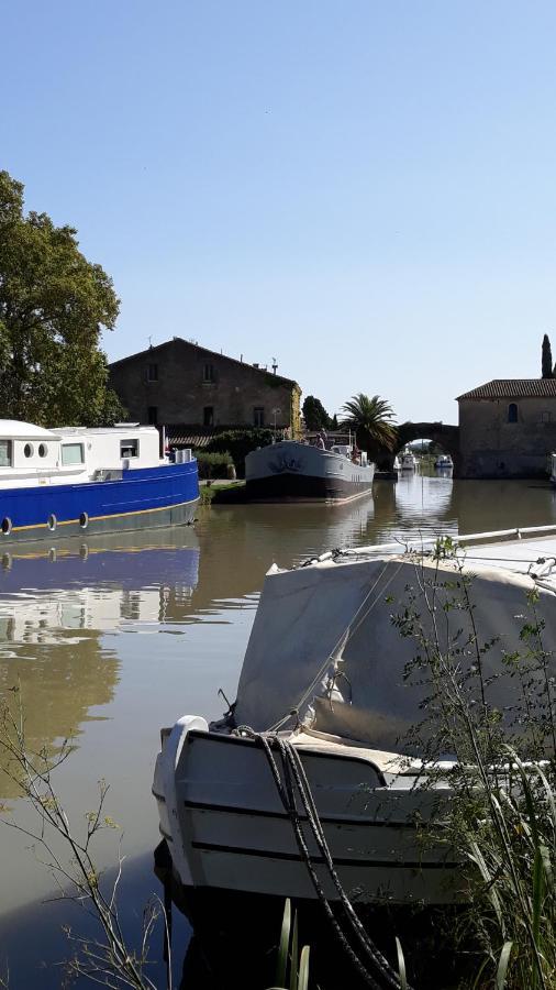 Le Coq du Nord - Mailhac Gîte et Chambres d'Hôtes Exterior foto