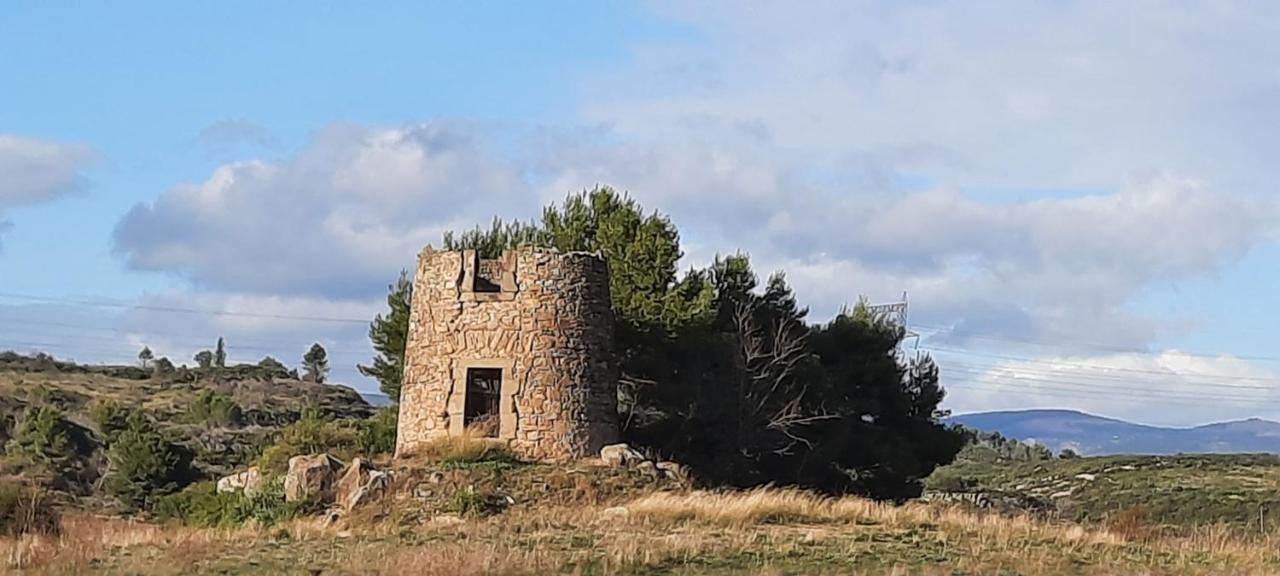 Le Coq du Nord - Mailhac Gîte et Chambres d'Hôtes Exterior foto