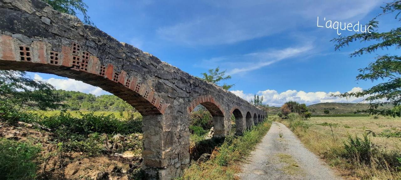 Le Coq du Nord - Mailhac Gîte et Chambres d'Hôtes Exterior foto