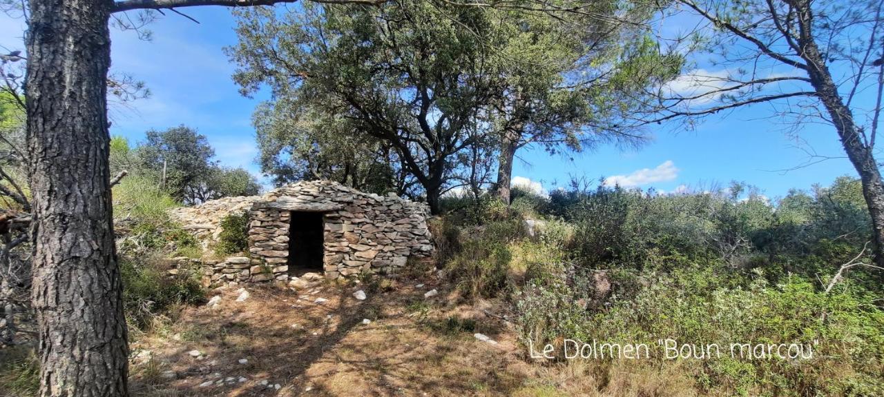 Le Coq du Nord - Mailhac Gîte et Chambres d'Hôtes Exterior foto